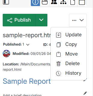 File details panel: Publish, the ... actions menu, and file info