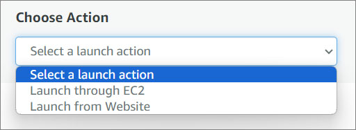CMS Micro Actions