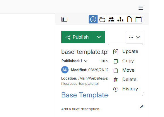 The three action groups on an open file: icon row, Publish button, and the ... actions menu