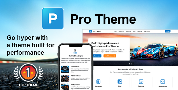 Pro Theme